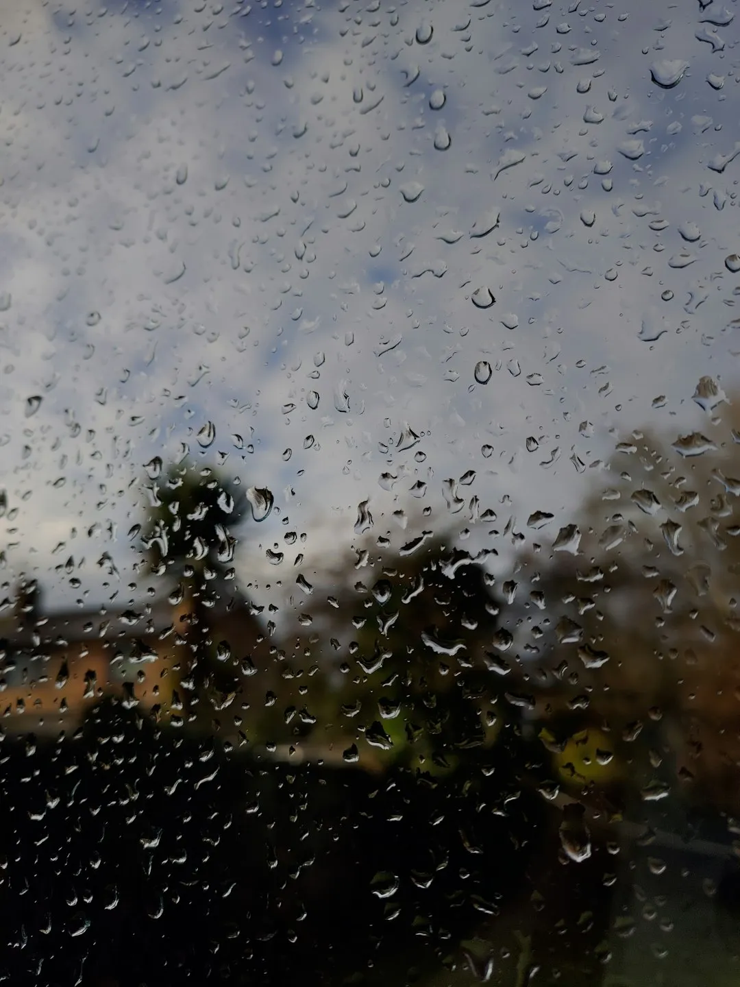 Photo by Liviu Florescu